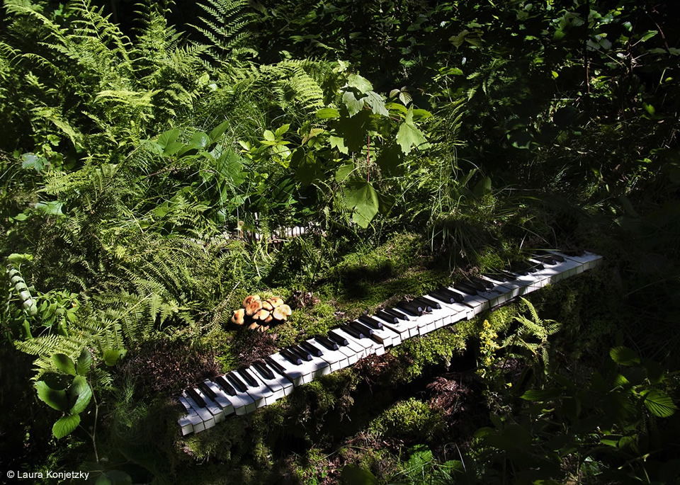 A piece for piano solo, playback and additional instruments, in a light show with projections of photographs.